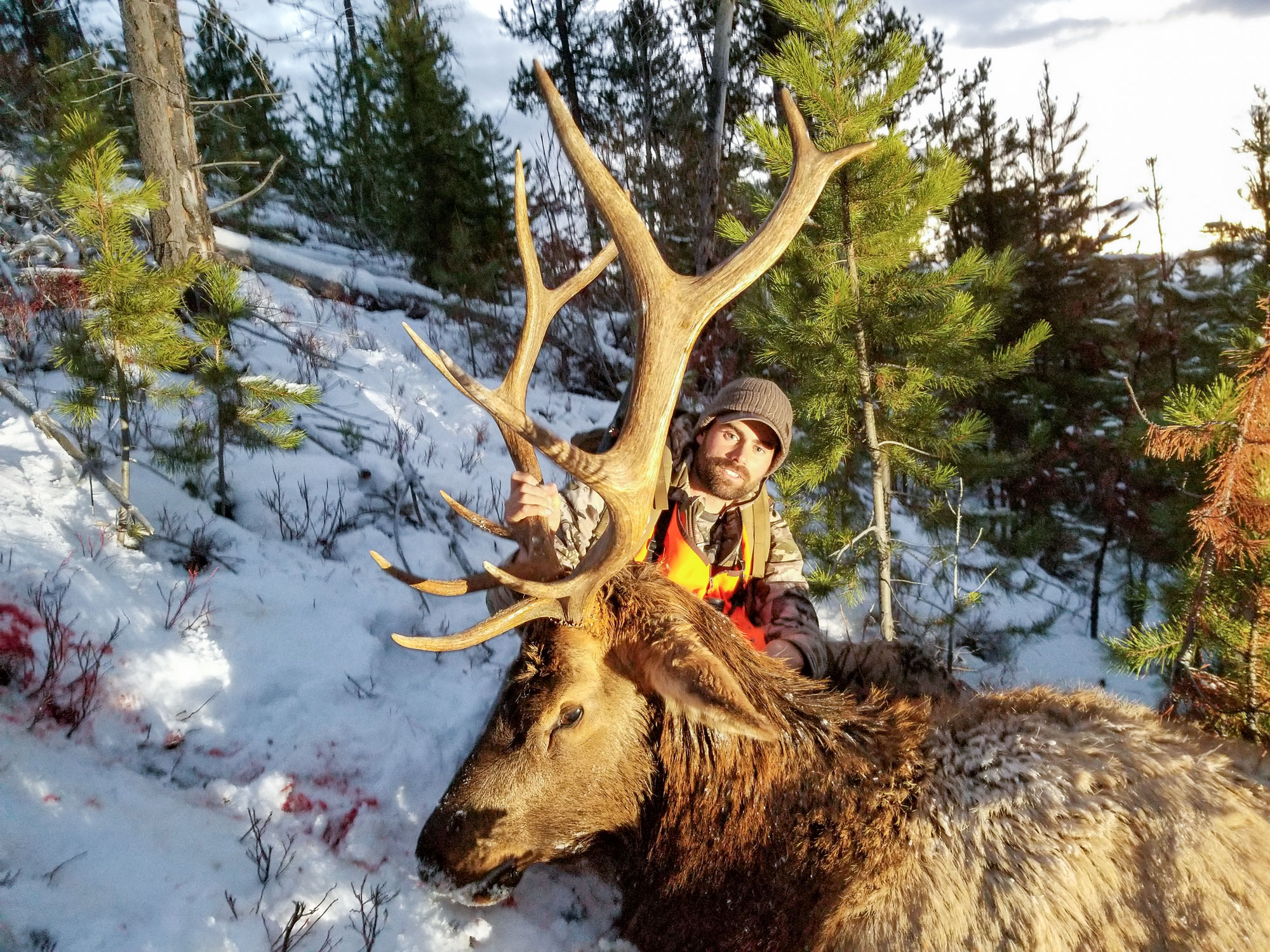 Remi with a bull elk from an over-the-counter elk tag.