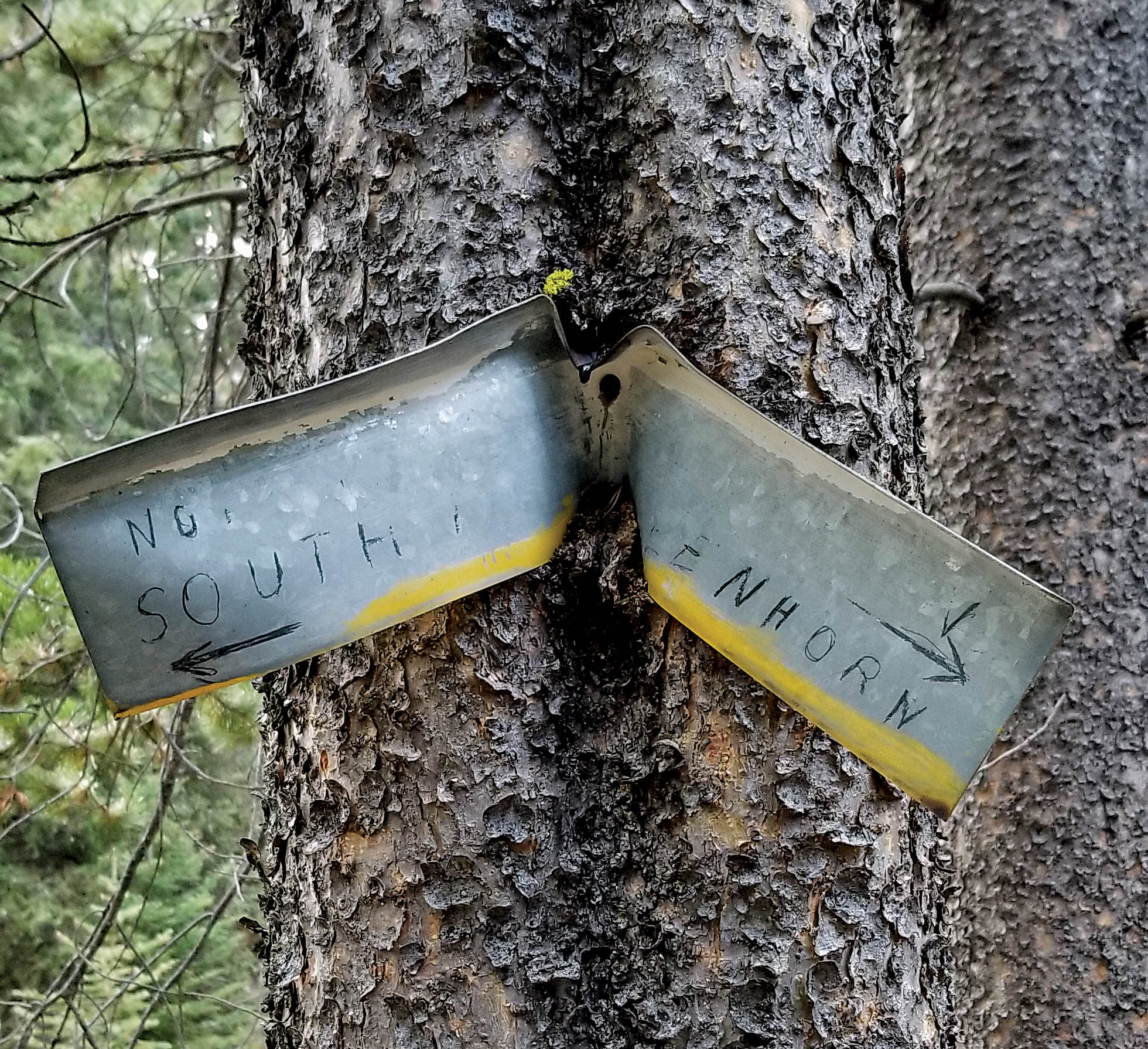 Signs posted to a tree showing directions to diffferent camps.