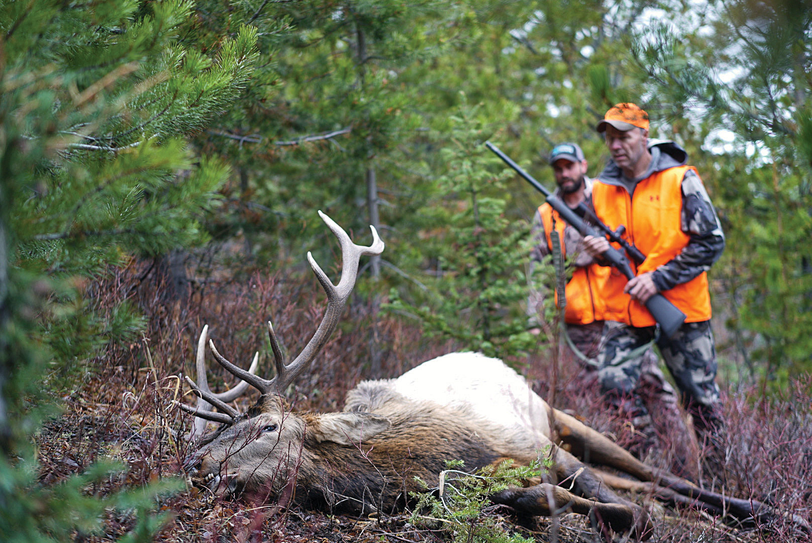 Remi and a client with a successful bull elk during road hunting.