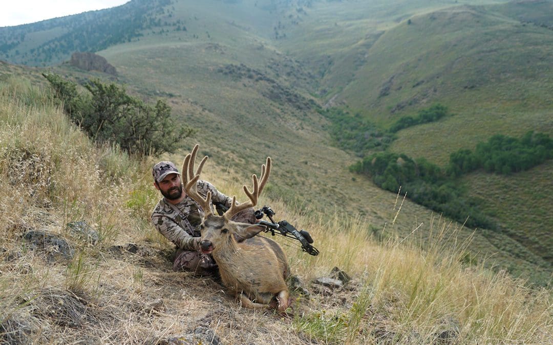 Early Season Mule Deer Tactics