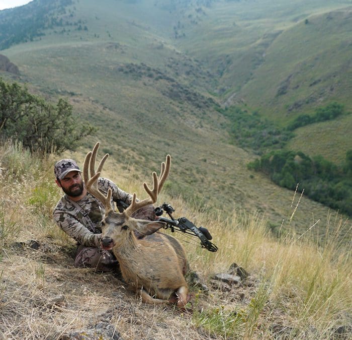 Early Season Mule Deer Hunting Tactics