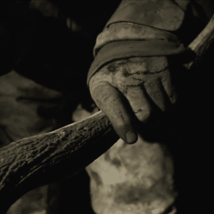 Tales of the Timber