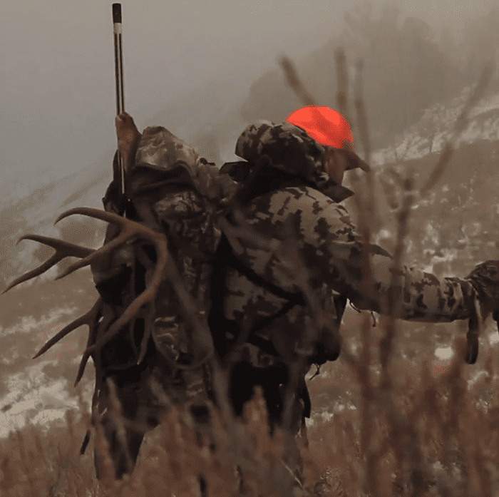 Buck on Ice