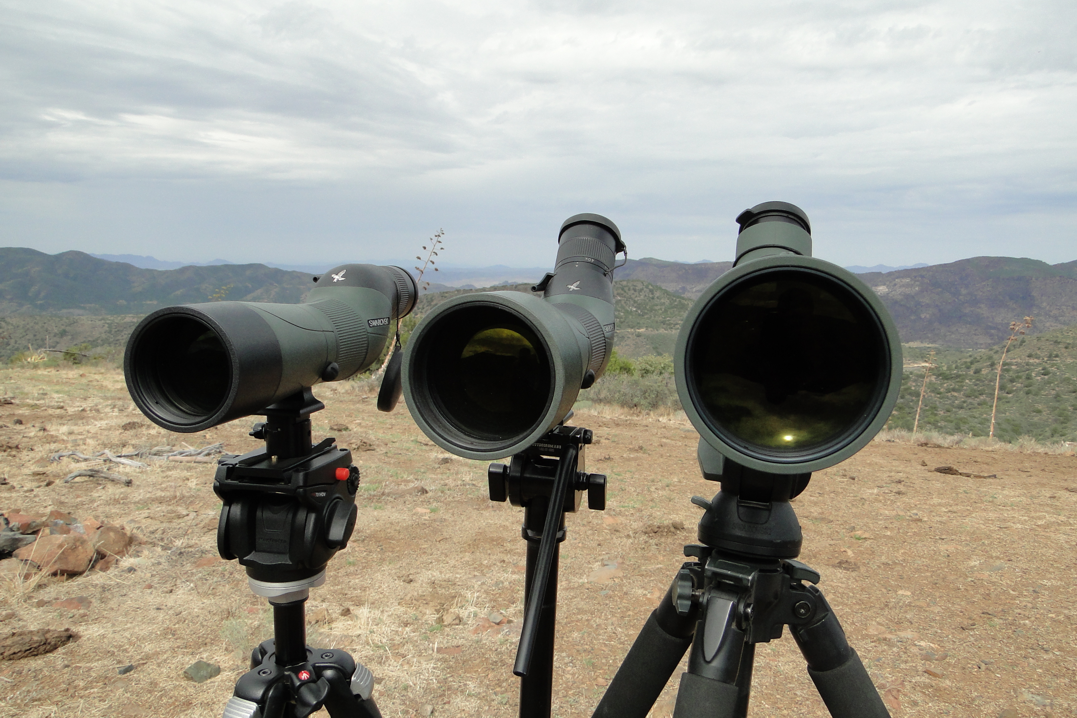 Side by side comparison of the 65mm, 85mm, and 95mm objectives Swarovski spotting scopes