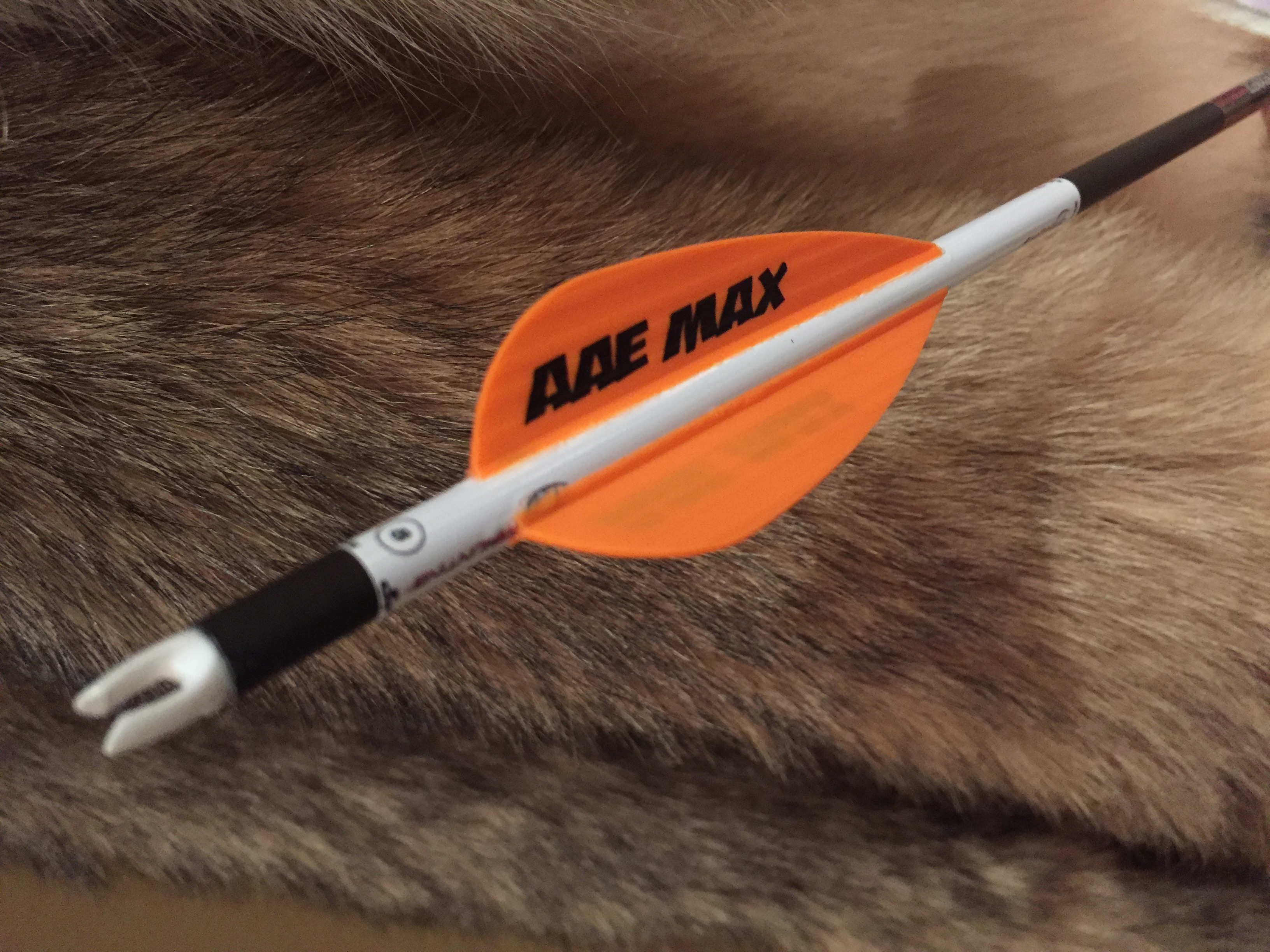 AAE Max arrow fletchings with a white arrow wrap