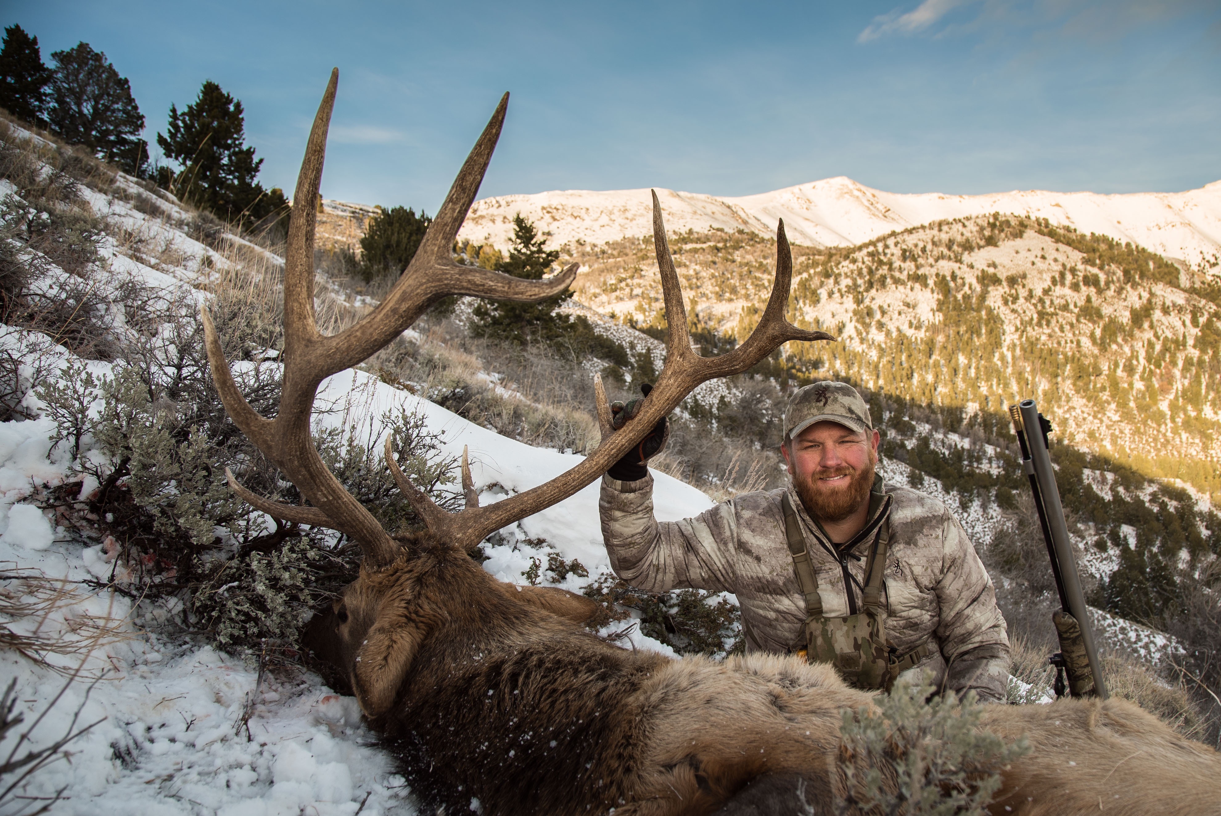 Elk taken muzzleloader hunting