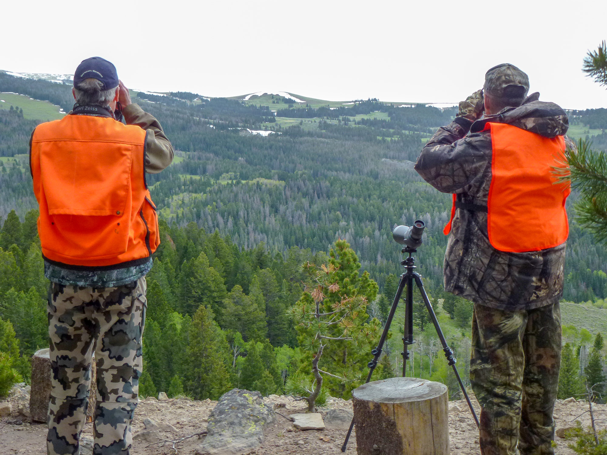 Two hunters glassing for spring bear.