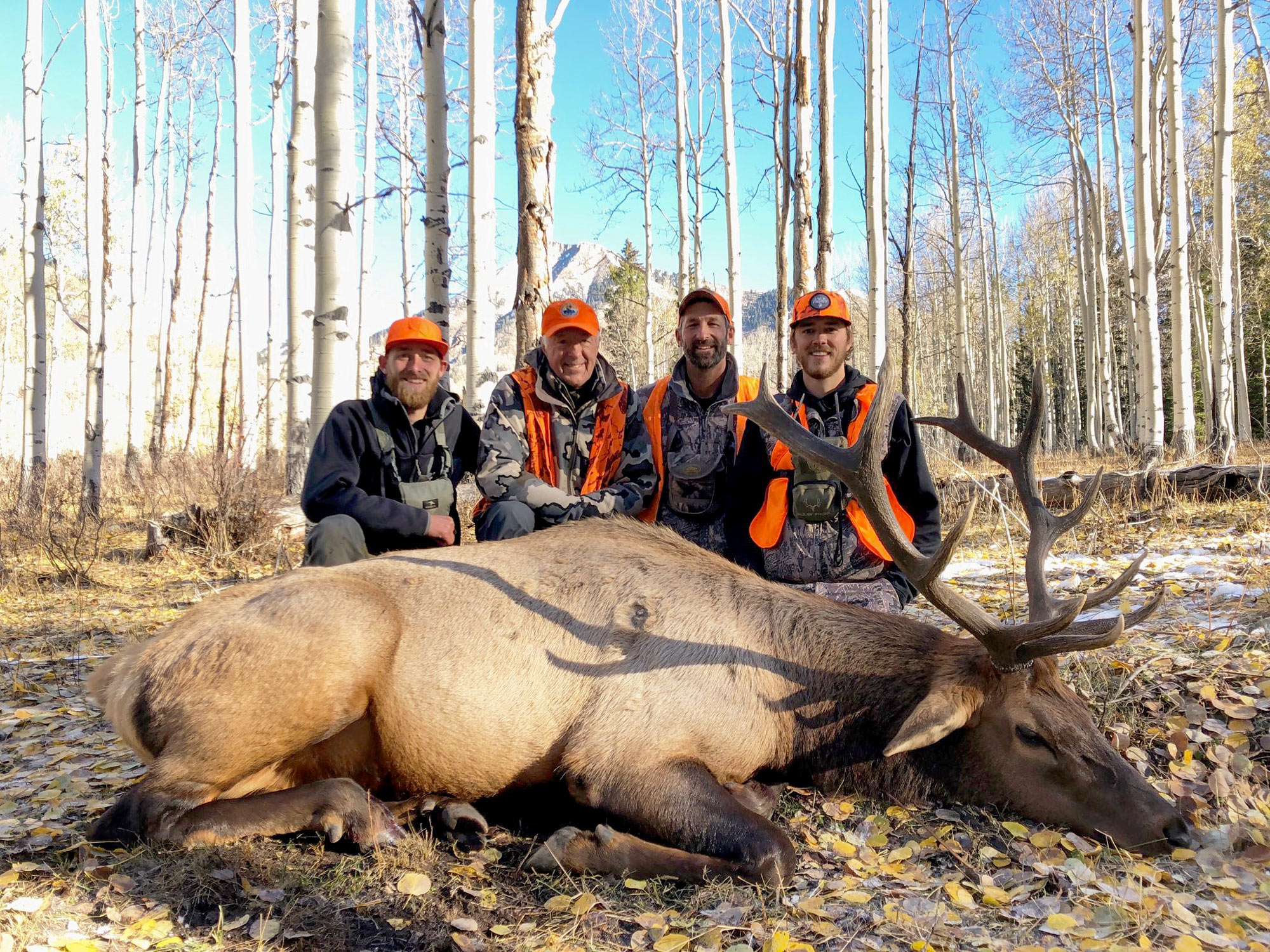 Elk harvested by hunting with horses