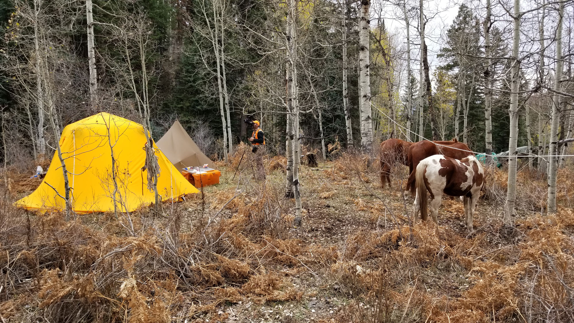 glassing from camp while horse hunting