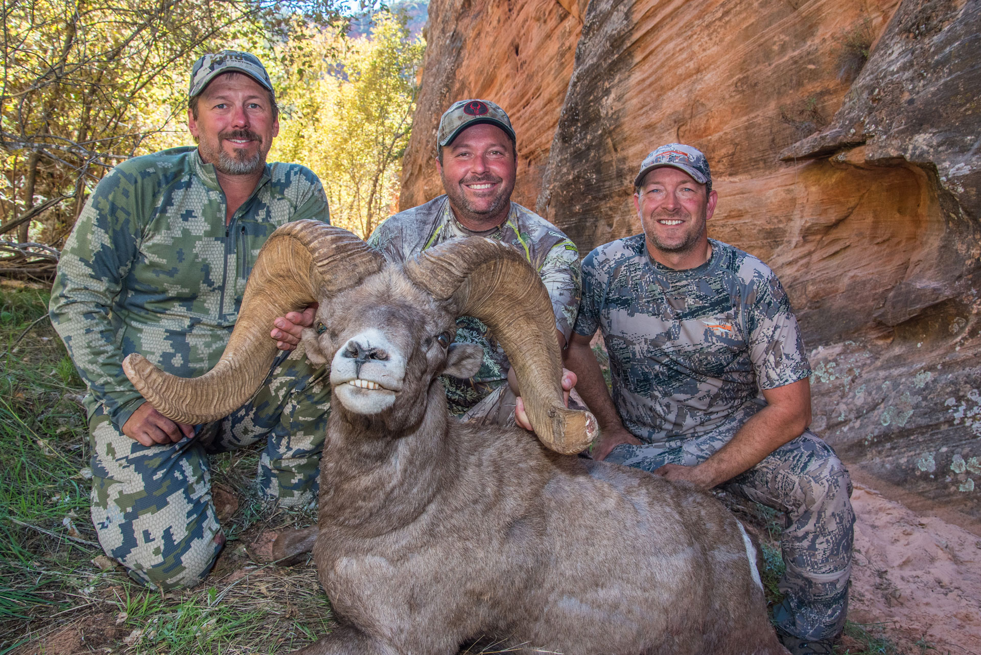 Successful big horn sheep bow hunt