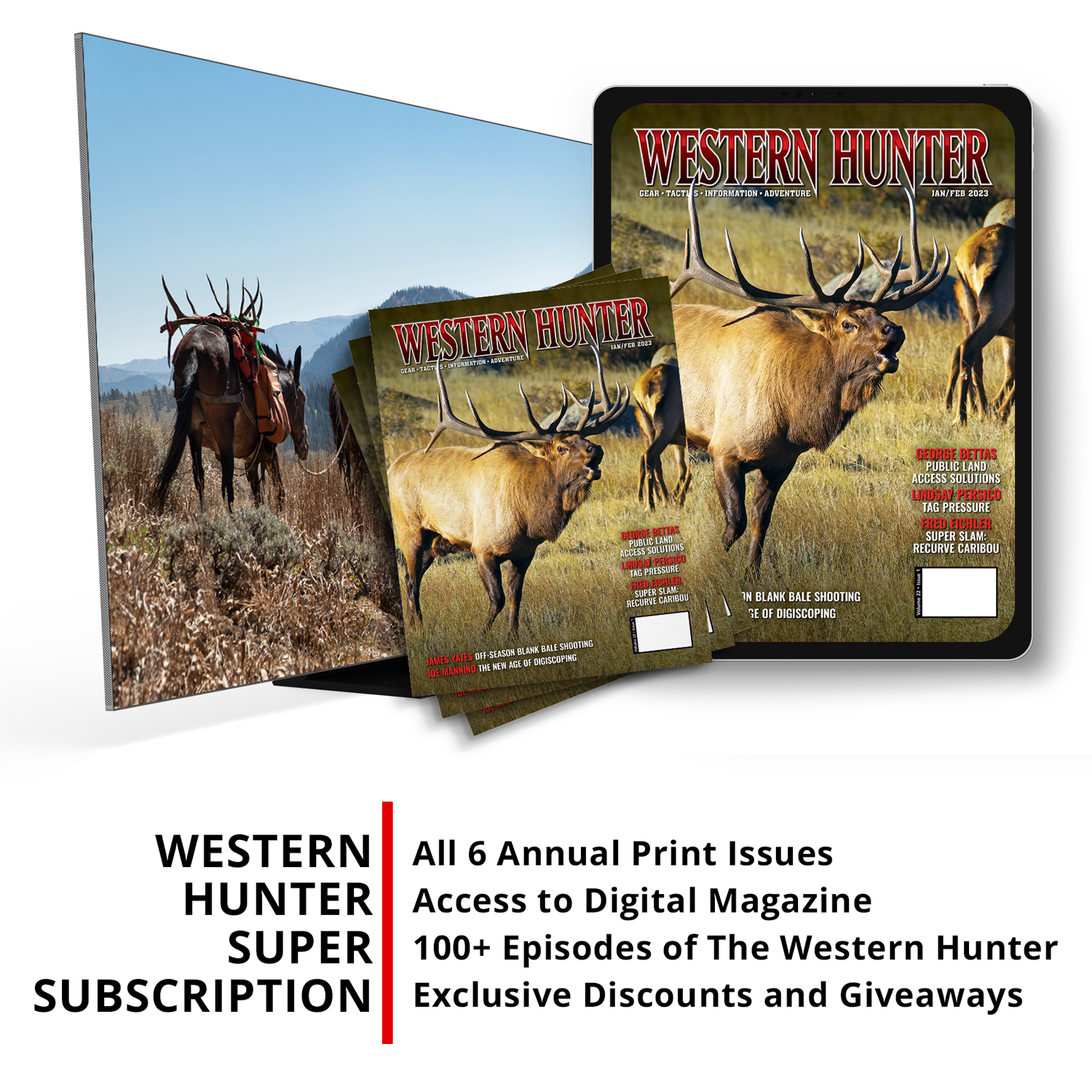Bear Hunting Magazine Subscription Discount 43%