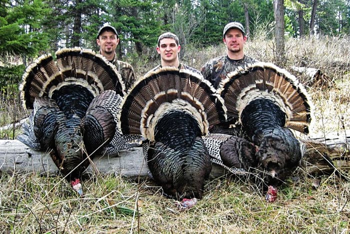 How Turkey Hunting Can Make You A Better Elk Hunter