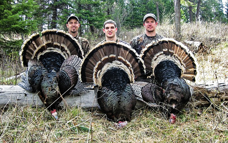How Turkey Hunting Can Make You A Better Elk Hunter