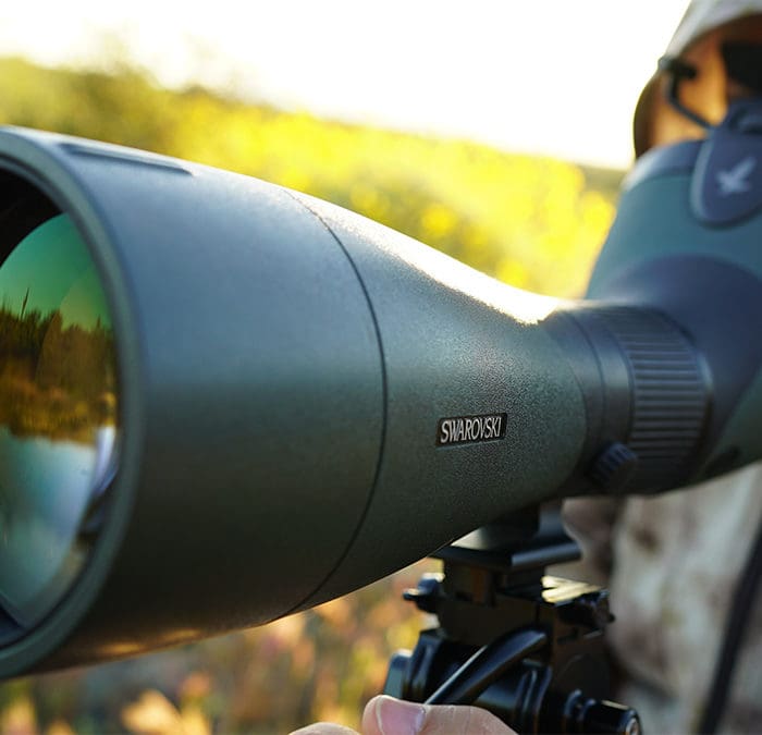Swarovski BTX Eyepiece Review
