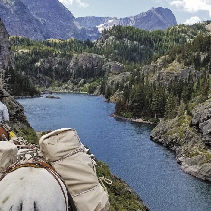 Navigating the Backcountry with Stock