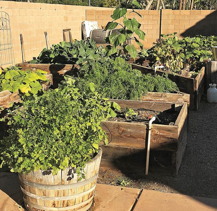 Its Time To Get Gardening