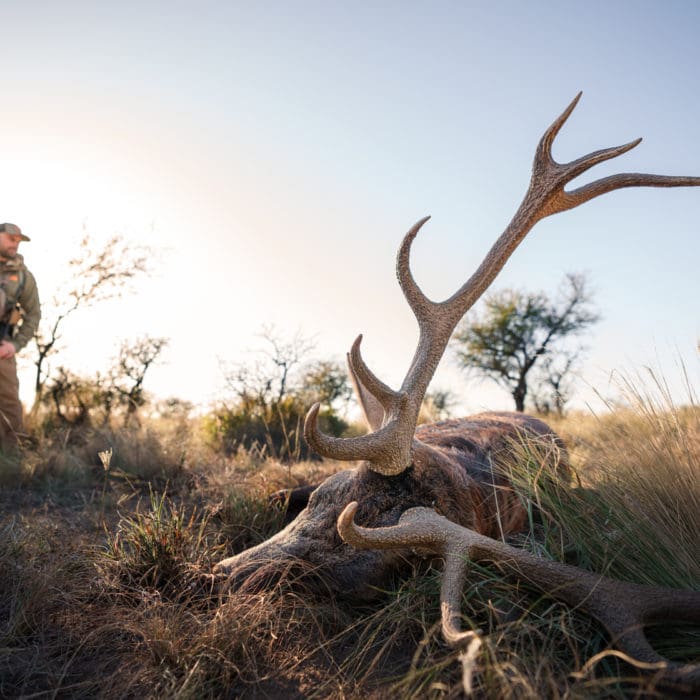 Hack-Free Hunting