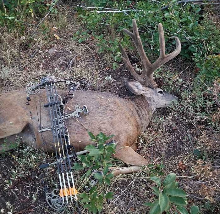 Karma Buck