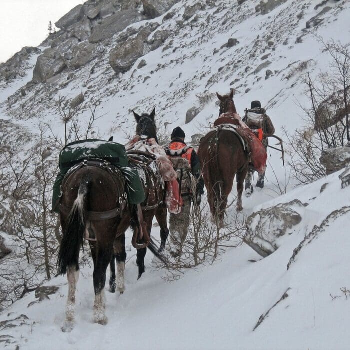 Managing Snow, Ice, and Wind on a Horseback Hunt
