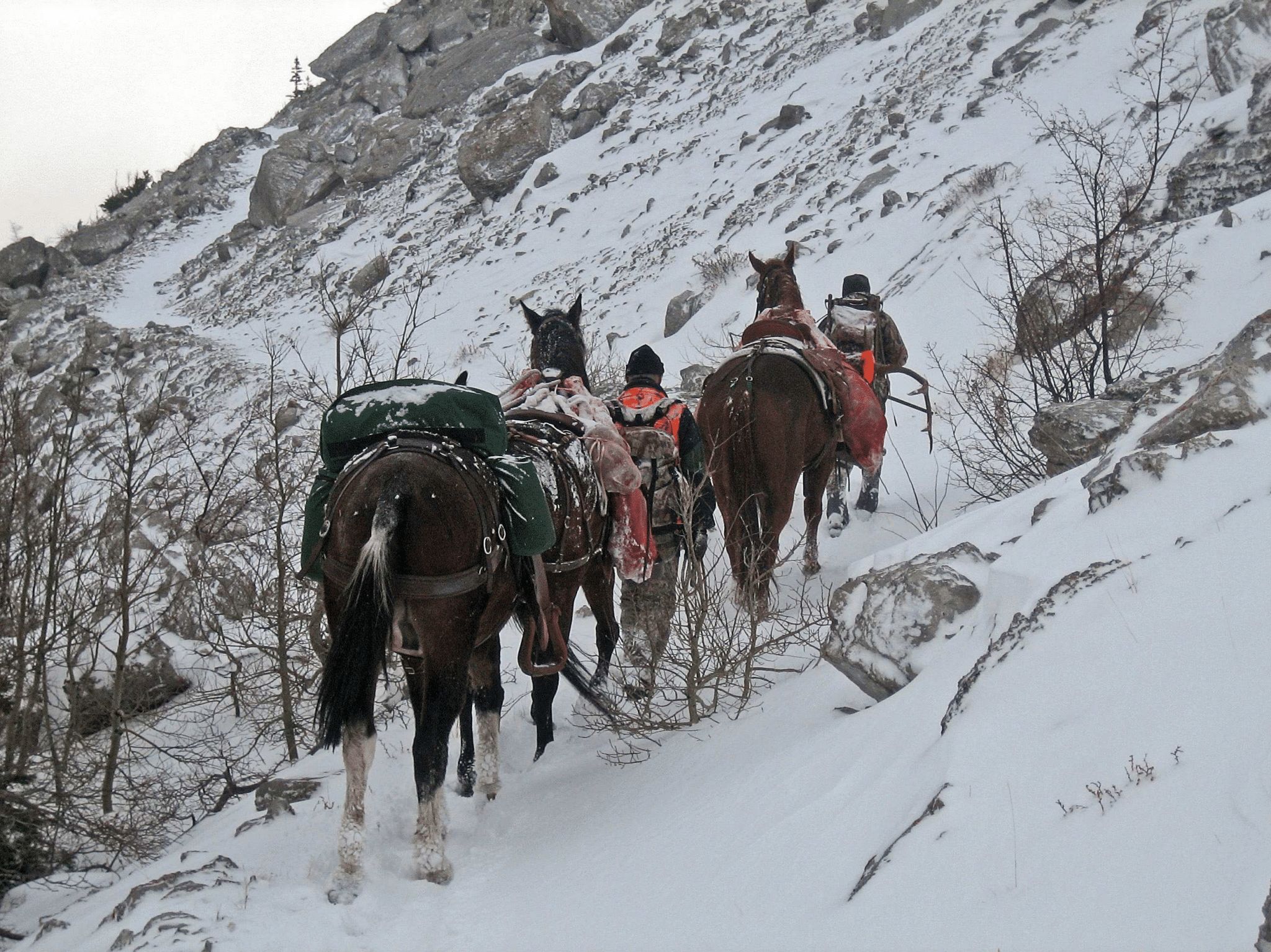 Managing Snow, Ice, and Wind on a Horseback Hunt