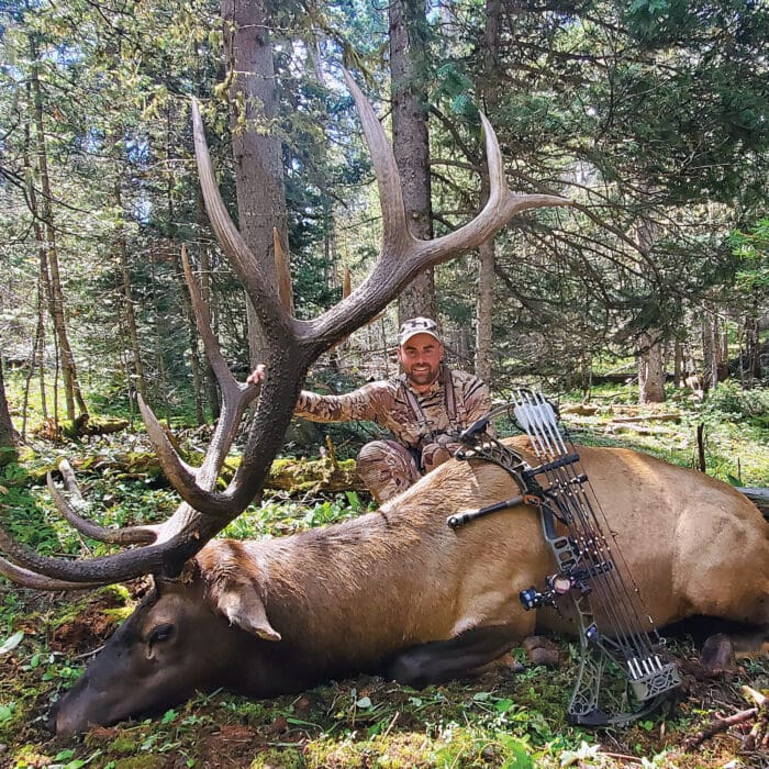 The Meat Bull