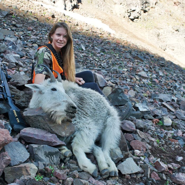 Pulling Rare Tags – Mountain Goat