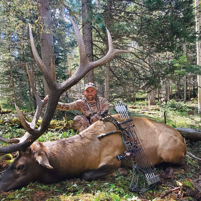 “If” and “Then” Elk Hunting