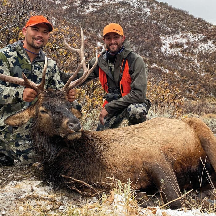 Elk In Common: Colorado Elk Hunt