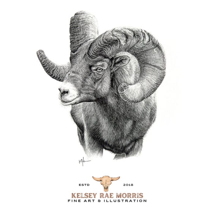 Western Hunter Featured Artist: Kelsey Rae Morris