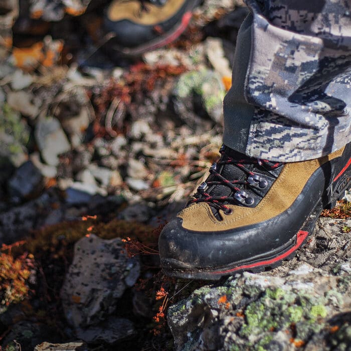 Hiker’s Hooves: