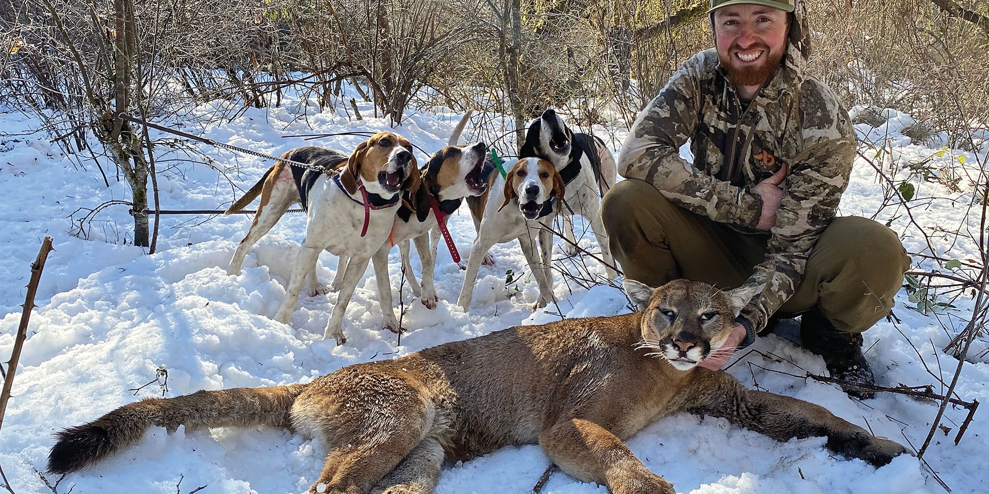 Garmin TT15X and T5X Tracking Collars