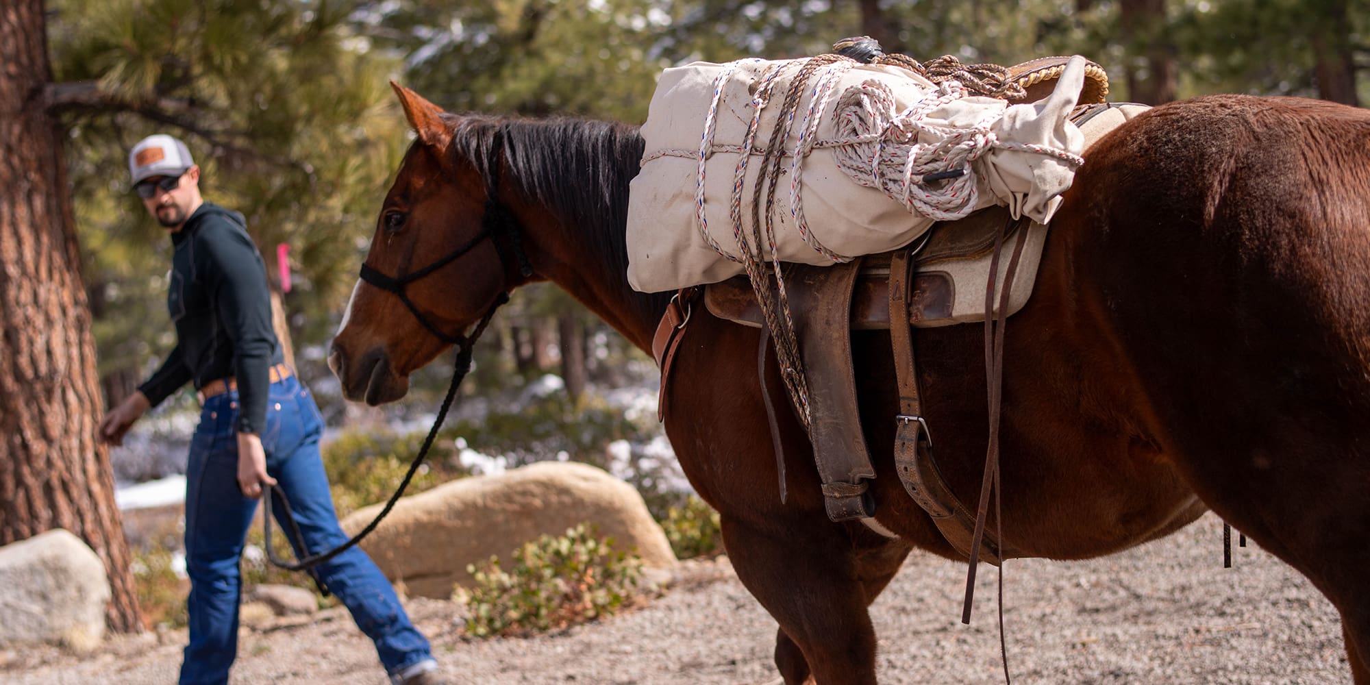 Preparing Your Equine For The Fall