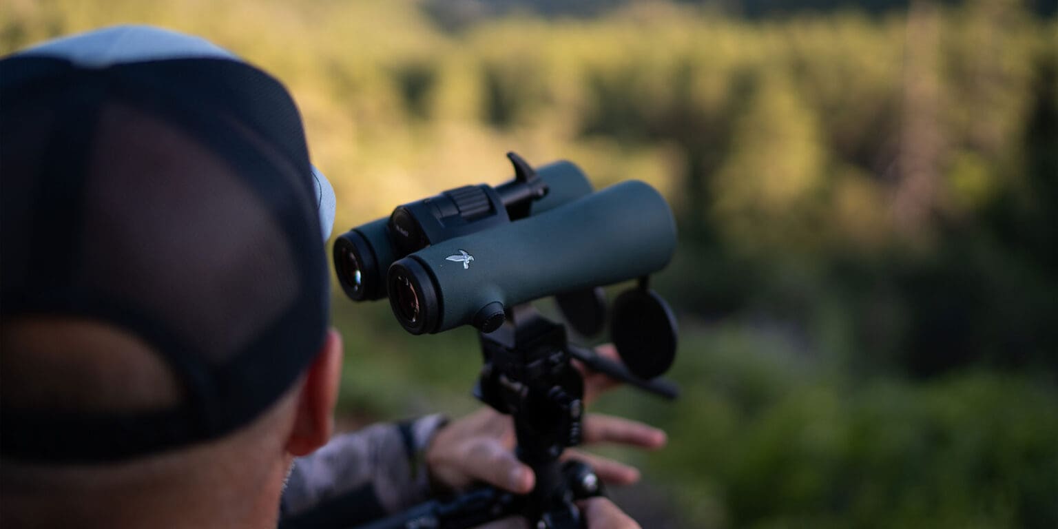 Swarovski nl pure 14x52 review western hunter