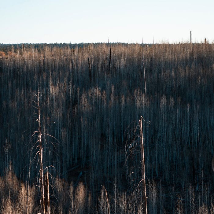Gear List: Arizona Kaibab Mule Deer Hunt