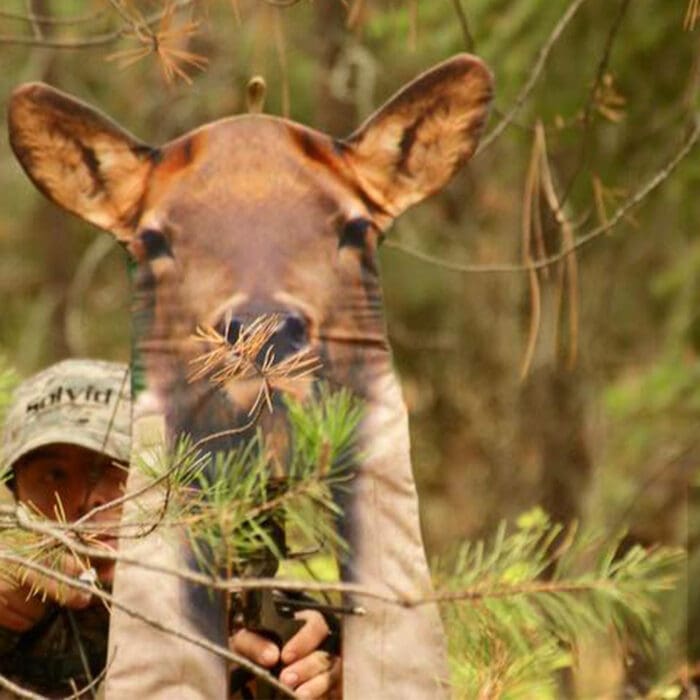 Ultimate Predator Decoys