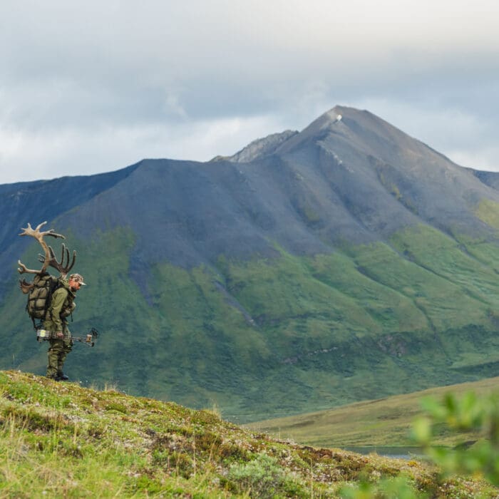 Of Bou & Bow: Chasing Mountain Caribou in the Northwest Territories